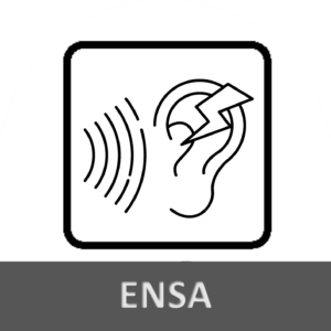 ENSA — nuisances sonores aériennes