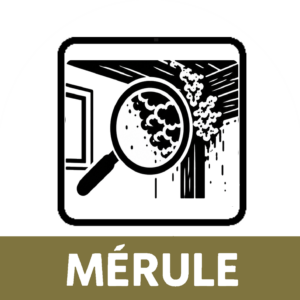 Mérule