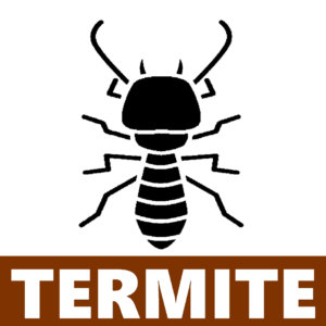 Termites